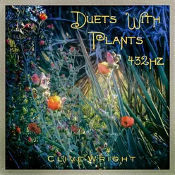 Duets with Plants