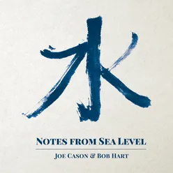 Notes from Sea Level