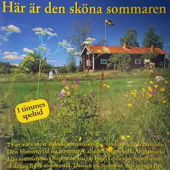 Här är den sköna sommaren