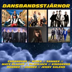 Dansbandsstjärnor - 20 hits för dansgolvet