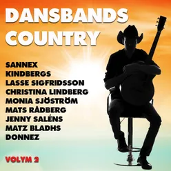 Dansband Country Volym 2