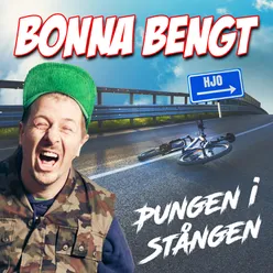 Pungen i stången