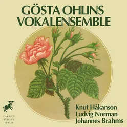 Håkanson, Norman & Brahms