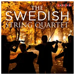 String Quartet: I. Lentando rigoroso