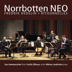 Fredrik Hedelin - Ritournelles