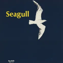 Seagull