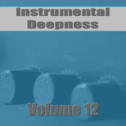 Instrumental Deepness, Vol. 12