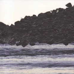 Low Tide Walk