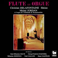 Recorder Sonata in F Major, Op. 1, No. 11, HWV 369: II. Allegro