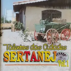 Talentos das Cidades, Sertanejo, Vol. 1