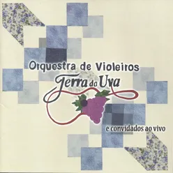 Viola Enluarada-Ao Vivo