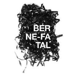 BERNE_FATAL