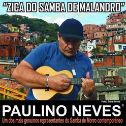 Zica do Samba de Malandro
