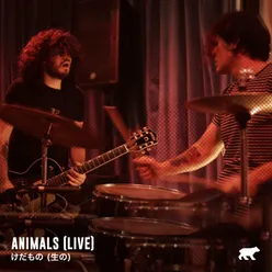 Animals (Live)