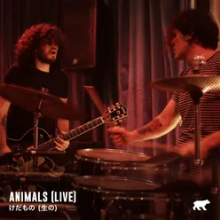 Hounds-Live