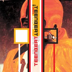 2001 Teenbeat Sampler