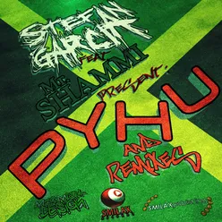 Pyhu (Put Your Hands Up)-Synapse DJ & Ceedes Remix
