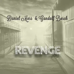 Revenge-Radio Edit