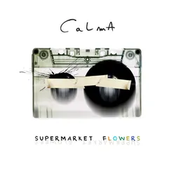 Supermarket Flowers-(Ed Sheeran Cover)