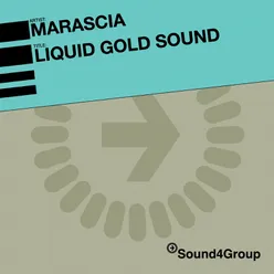 Liquid Gold Sound (Re-Bassed Mix)