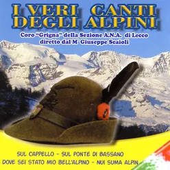 I Veri Canti Degli Alpini