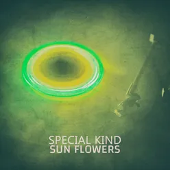 Money-Sunflowers Fresh Mix