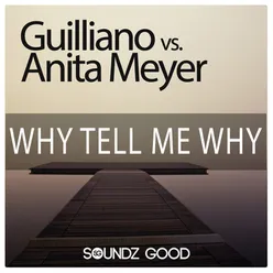 Why Tell Me Why-Meyer Radio Edit