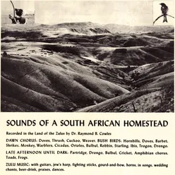 Sounds of a South African Homestead