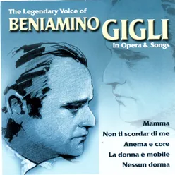 Che Gelida Manina (La Bohème)