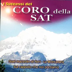 I Successi Del Coro Della Sat