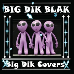 Big Dik Covers