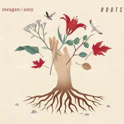 Roots