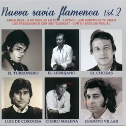 Nueva Savia Flamenca Vol. 2