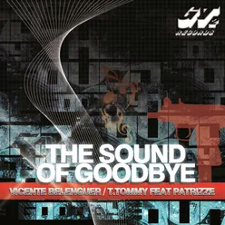 Sound of Goodbye-Radio Edit