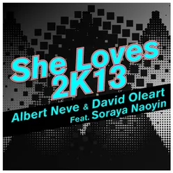 She Loves 2k13-David Vissen, John Hertz Remix