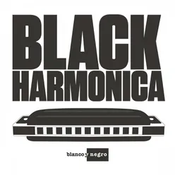 Black Harmonica