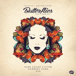 Butterflies-Rubb Sound System Remix