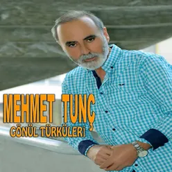 Gönül Türküleri