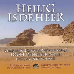 Heer onze Heer-Psalm 8