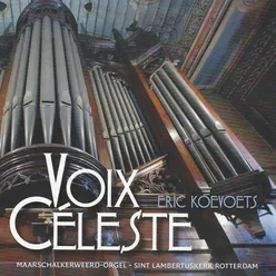 Vox Céleste (Maarschalkerweerd-Orgel, Sint Lambertuskerk, Rotterdam)