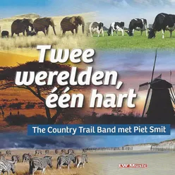 De Beste weg eruit