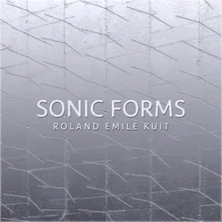 Sonic Form 01