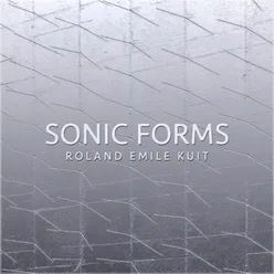 Sonic Form 13