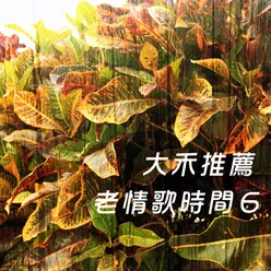 大禾推薦 老情歌時間-6