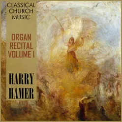 Sonate VI in D Minor, Op. 65, MWV W 61 (From "Vader unser im Himmelreich" BWV 416): Choral with Variations