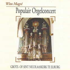 Populair Orgelconcert