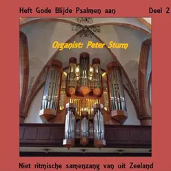 Heft Gode Blijde Psalmen aan - Niet Ritmische Samenzang, Vol. 2