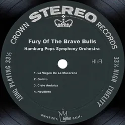 Fury Of The Brave Bulls