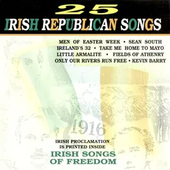 25 Irish Republican Songs
