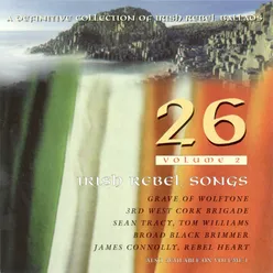 26 Irish Rebel Songs - Volume 2